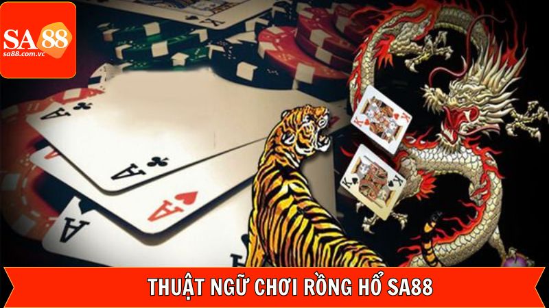 Rồng Hổ SA88 - Chiến Lược Đặt Cược Mang Lại Tỷ Lệ Thắng Cao 3 Thuật ngữ quan trọng trong rồng hổ SA88