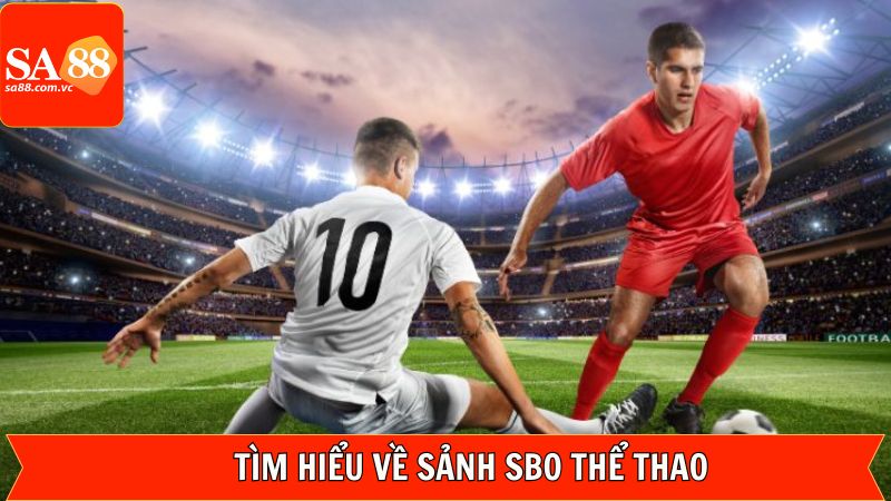 Nét chính về thương hiệu SBO thể thao