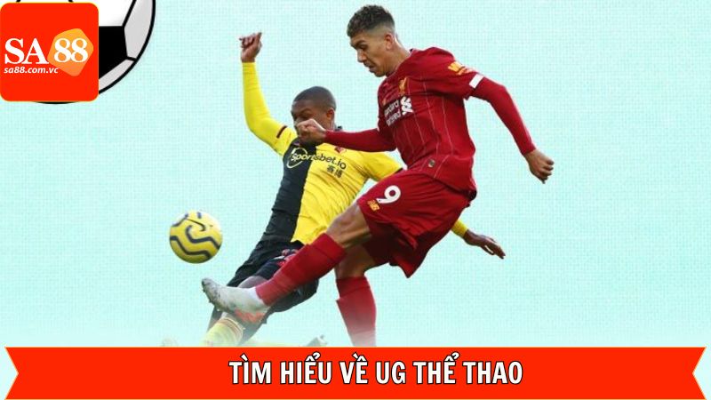 Đôi nét chung về sân chơi hot hiện nay